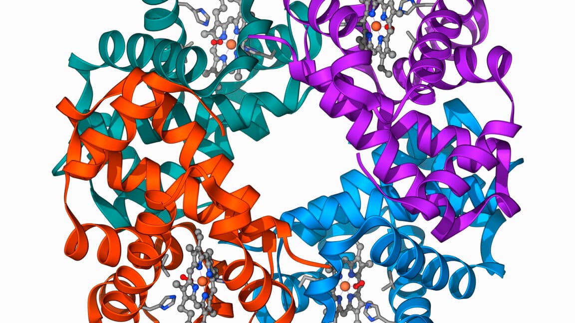 Clinical trial shows gene editing works for β-Thalassaemia, too